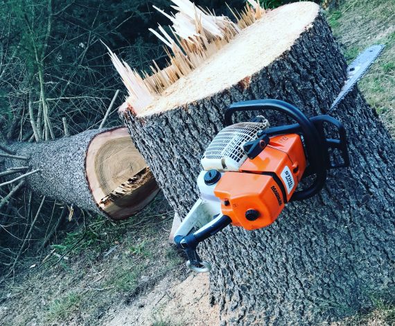 invercargill-tree-services-chainsaw
